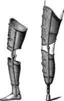 artificiel jambes, ancien gravure vecteur