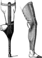 artificiel jambes pour au-dessous du genou amputation, ancien gravure vecteur