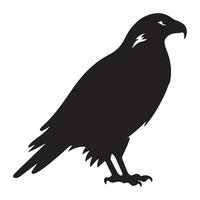 une noir silhouette faucon animal vecteur