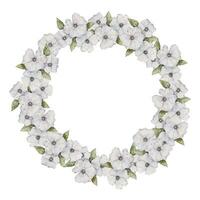 aquarelle floral couronne, Cadre avec blanc fleurs. vecteur. main tiré illustration parfait pour carte, invitation et plus vecteur