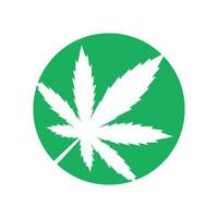 cannabis icône logo conception vecteur