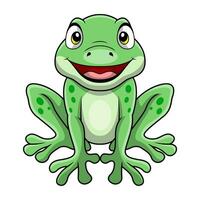 mignon, grenouille, dessin animé, blanc, fond vecteur