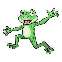 mignon, grenouille, dessin animé, blanc, fond vecteur