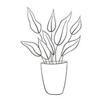 aglaonema maison plante esquisser. ligne art dessin mis en pot tropical feuille aglaonema plante. imprimable décoratif plante d'appartement concept pour Accueil mur décor ornement. vecteur