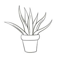 agave vecteur icône. maison plante symbole ligne art vecteur signe isolé sur blanc Contexte. Facile vecteur illustration pour graphique et la toile conception.