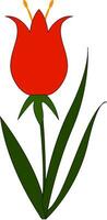 Facile vecteur illustration sur blanc Contexte de une rouge fleur avec Jaune pilon et vert feuilles