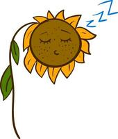 dessin animé de une en train de dormir tournesol vecteur illustration sur blanc Contexte