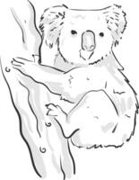 une noir esquisser de une koala escalade sur le arbre vecteur ou Couleur illustration