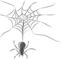 une noir et blanc image de une araignée avec ses la toile vecteur Couleur dessin ou illustration