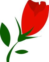 une magnifique rouge tulipe fleur vecteur ou Couleur illustration