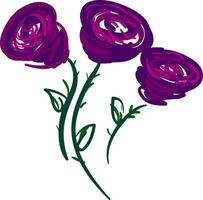 Trois violet des roses vecteur ou Couleur illustration