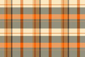 vérifier modèle textile de texture en tissu Contexte avec une vecteur plaid tartan transparent.