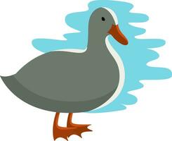 canard blanc, illustration, vecteur sur fond blanc