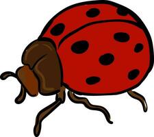 une gros coccinelle avec marron corps regards mignonne vecteur ou Couleur illustration