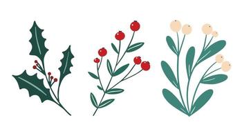 ensemble d'éléments floraux de feuillage d'hiver - gui de baies blanches, branche de baies de houx. clipart de fleurs de Noël festives dans un style simple dessiné à la main isolé sur fond blanc. collection de vecteurs vecteur