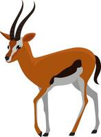 gracieux gazelle, illustration, vecteur sur blanc Contexte