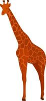 grande girafe, illustration, vecteur sur fond blanc