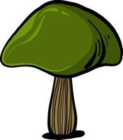 vert champignon, illustration, vecteur sur blanc Contexte