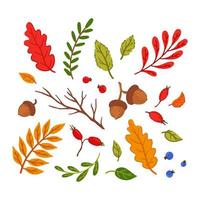 ensemble d'éléments d'automne confortable. baies et champignons sauvages, feuilles colorées. vecteur
