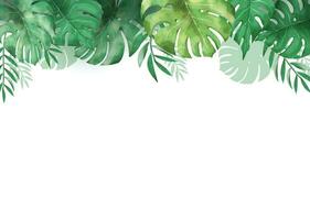 vert monstera feuilles frontière dans aquarelle vecteur