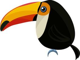 toucan, vecteur ou Couleur illustration.