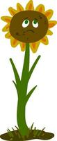 emoji de une triste de couleur grise tournesol bourgeon vecteur ou Couleur illustration