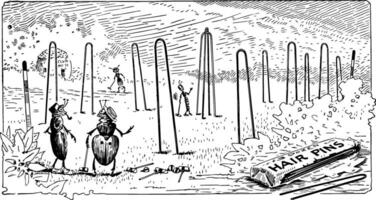 fourmis en jouant croquet avec cheveux épingles, ancien illustration vecteur