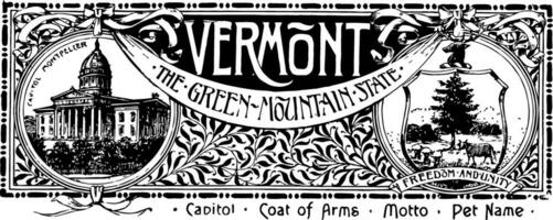 le Etat bannière de Vermont le vert Montagne Etat ancien illustration vecteur