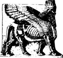 assyrien sculpture est un assyrien ailé taureau de Khorsabad ancien gravure. vecteur