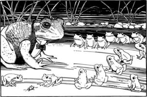 grenouilles séance dans Lignes à la recherche à grenouille dans costume, ancien illustration vecteur