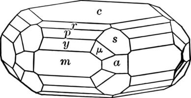 apatite ancien illustration. vecteur