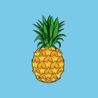 illustration vecteur graphique de Hawaii, en forme pour des illustrations dans le cuisine, des photos pour enfants, fonds d'écran, etc