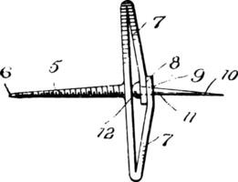 dispositif attache ancien illustration. vecteur