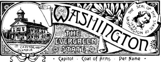 le Etat bannière de Washington le à feuilles persistantes Etat ancien illustration vecteur