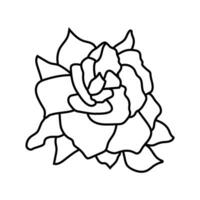 gardénia fleur printemps ligne icône vecteur illustration