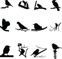 ensemble de des oiseaux silhouette conception sur une blanc Contexte vecteur