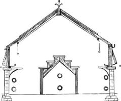 section de envergure toit plante maison ancien illustration. vecteur