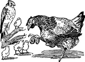 mère poule avec bébé poussins, ancien illustration. vecteur
