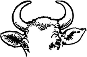 vache cornes, ancien illustration. vecteur