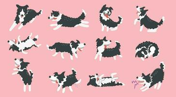 ensemble de mignonne dessin animé frontière colley chiens , dessin animé chien personnage conception avec plat couleurs dans divers pose vecteur