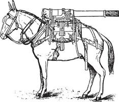 canon montagne, ancien gravure. vecteur