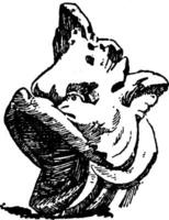 dauphin tête est montré dans le forme de une bec, ancien gravure. vecteur