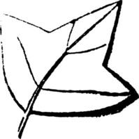 triangulaire feuille ancien illustration. vecteur