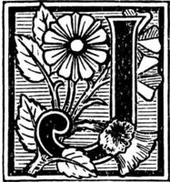 floral décoratif j, ancien illustration vecteur