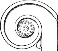 volute de le persan colonne, ancien illustration. vecteur