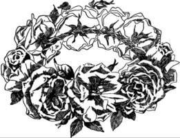 couronne de des roses ancien illustration. vecteur