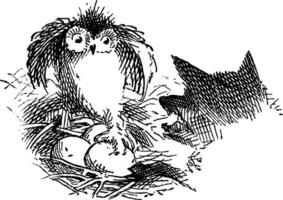 hibou et loup, ancien illustration. vecteur