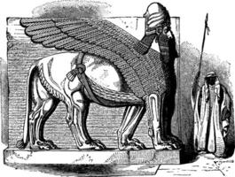 Shedu est une céleste étant de mésopotamien mythologie, ancien gravure. vecteur