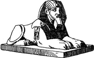 accroupi sphinx est une combinaison de le Humain buste avec le corps de le lion, ancien gravure. vecteur