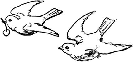 deux des oiseaux, ancien illustration vecteur